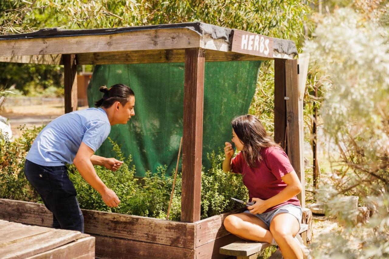Yha Grampians Eco, Halls Gap Luaran gambar