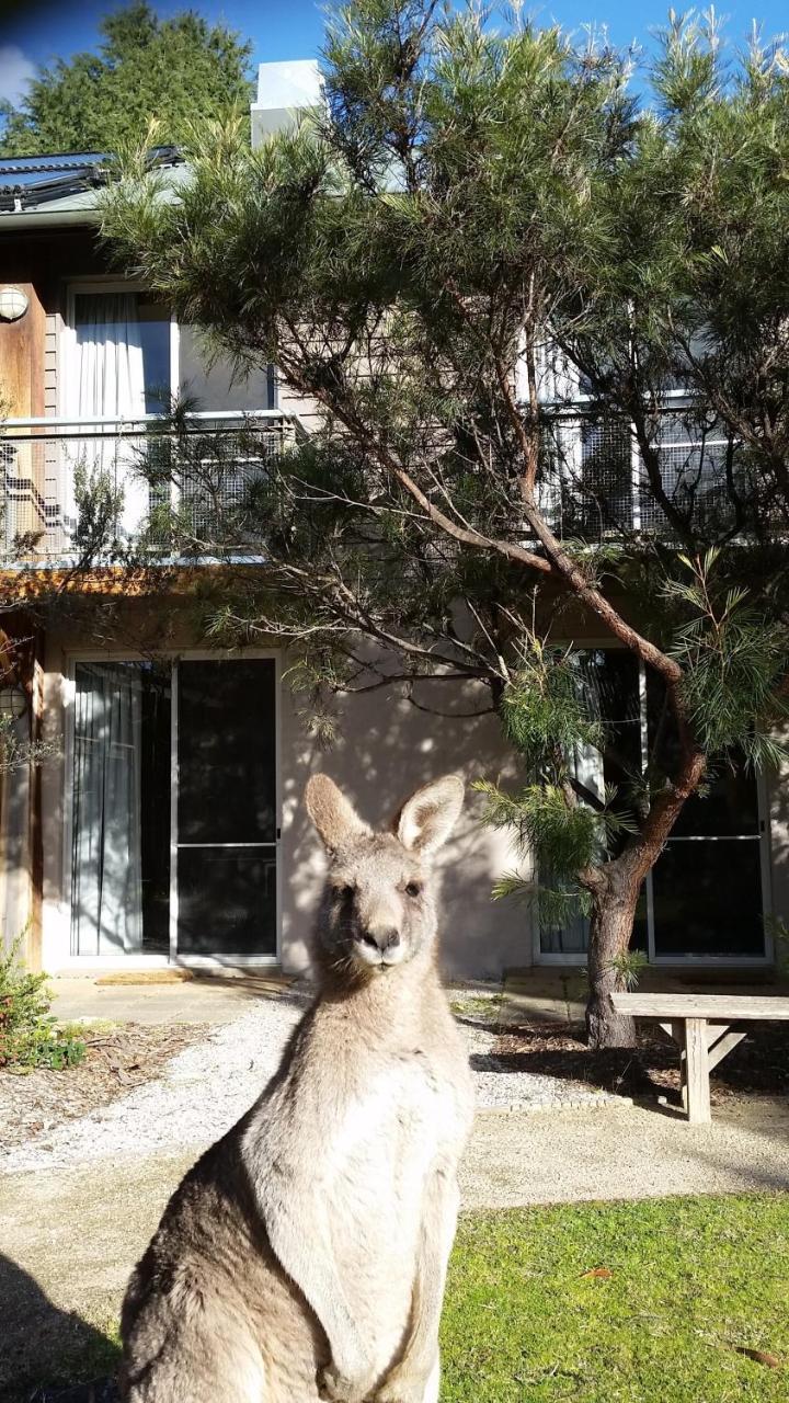 Yha Grampians Eco, Halls Gap Luaran gambar
