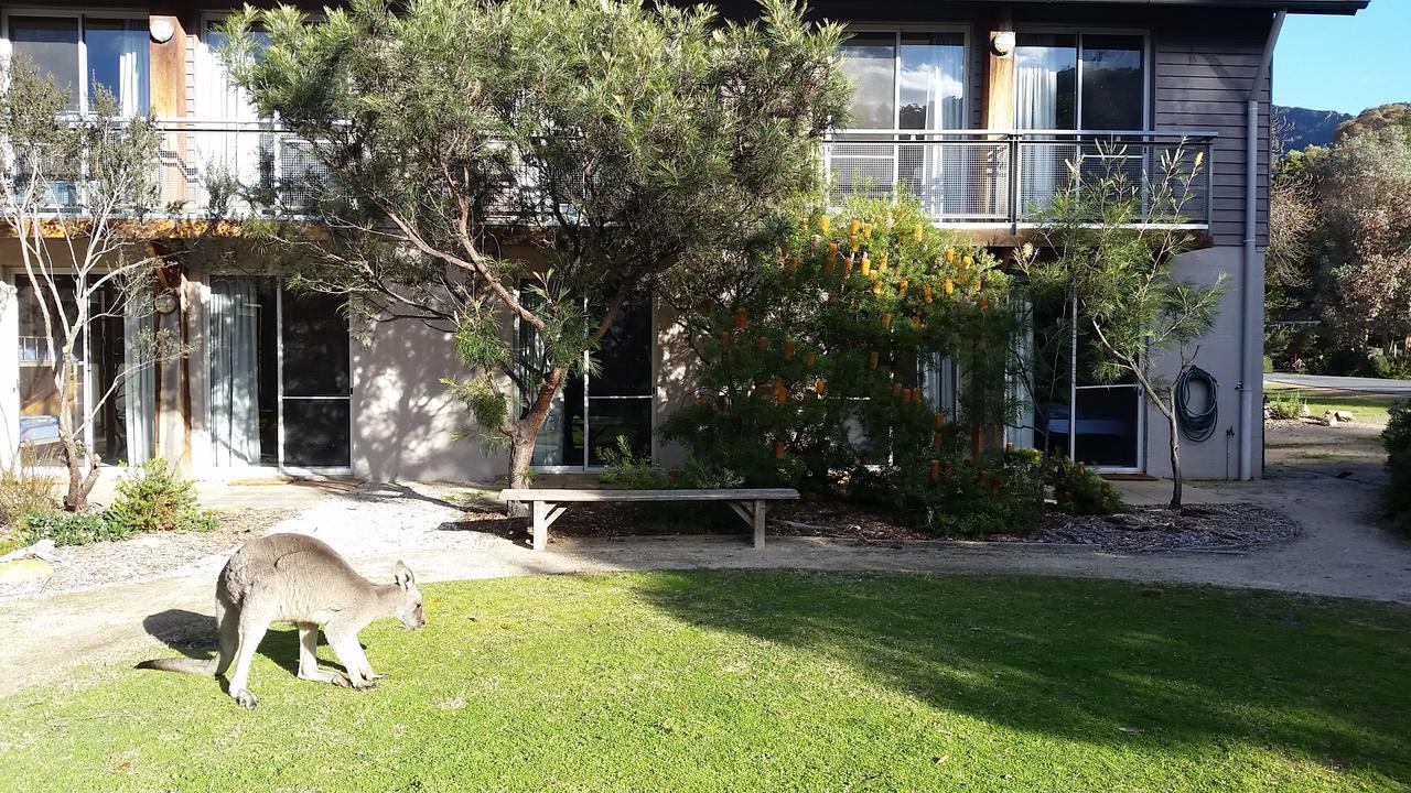 Yha Grampians Eco, Halls Gap Luaran gambar